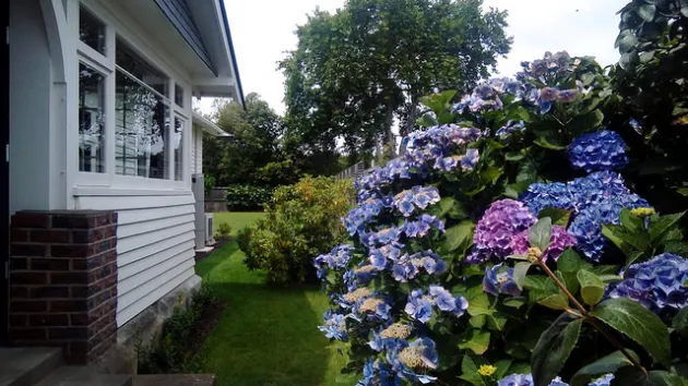 Another completed gardening project by Paul's team